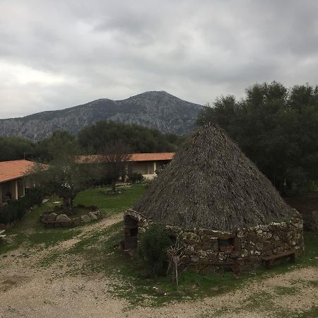 Turismo Rurale Su Cuile Villa Dorgali Eksteriør bilde