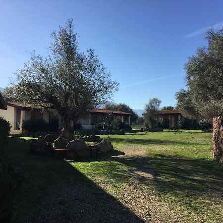 Turismo Rurale Su Cuile Villa Dorgali Eksteriør bilde