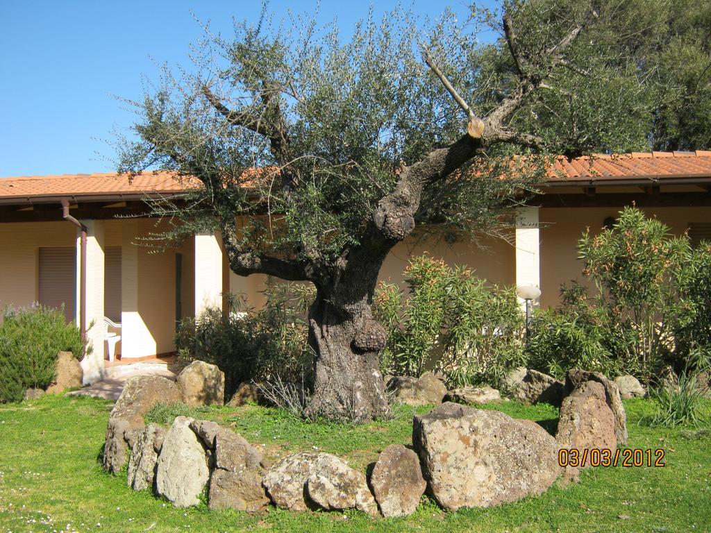 Turismo Rurale Su Cuile Villa Dorgali Eksteriør bilde