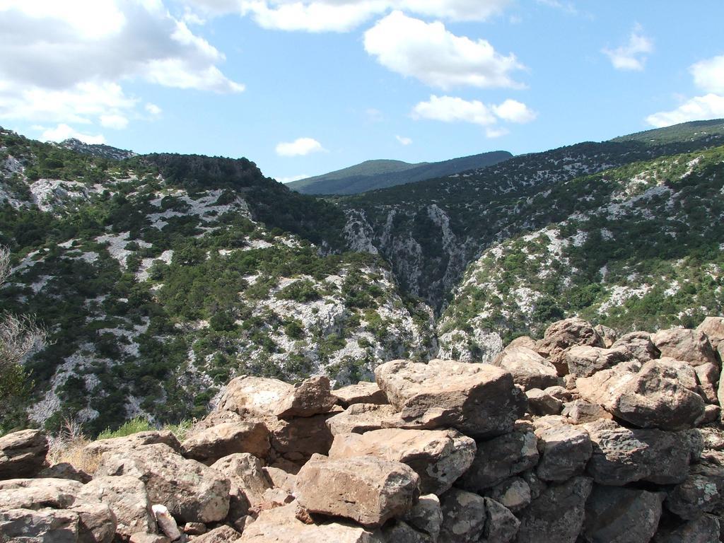 Turismo Rurale Su Cuile Villa Dorgali Eksteriør bilde
