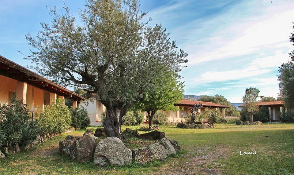 Turismo Rurale Su Cuile Villa Dorgali Eksteriør bilde