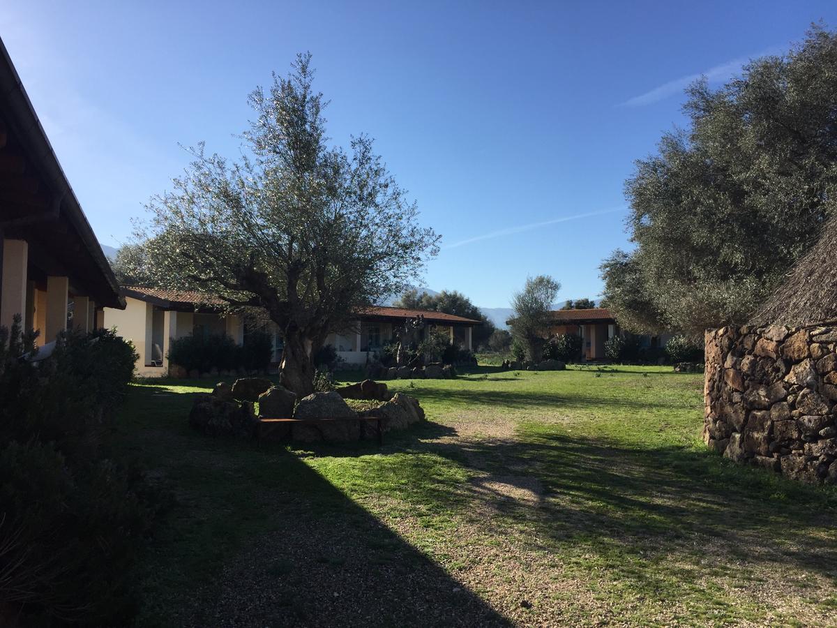 Turismo Rurale Su Cuile Villa Dorgali Eksteriør bilde
